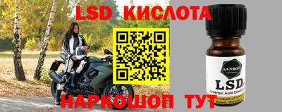 spice Бийск