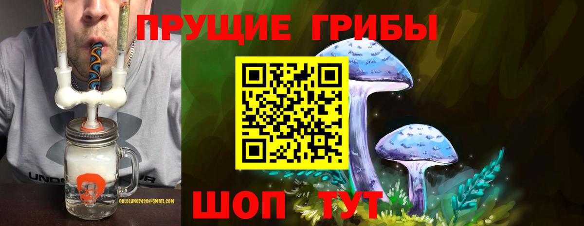 Галлюциногенные грибы мухоморы  Вход с VPN  сколько стоит  Галлюциногенные грибы Psilocybe  Кинель 